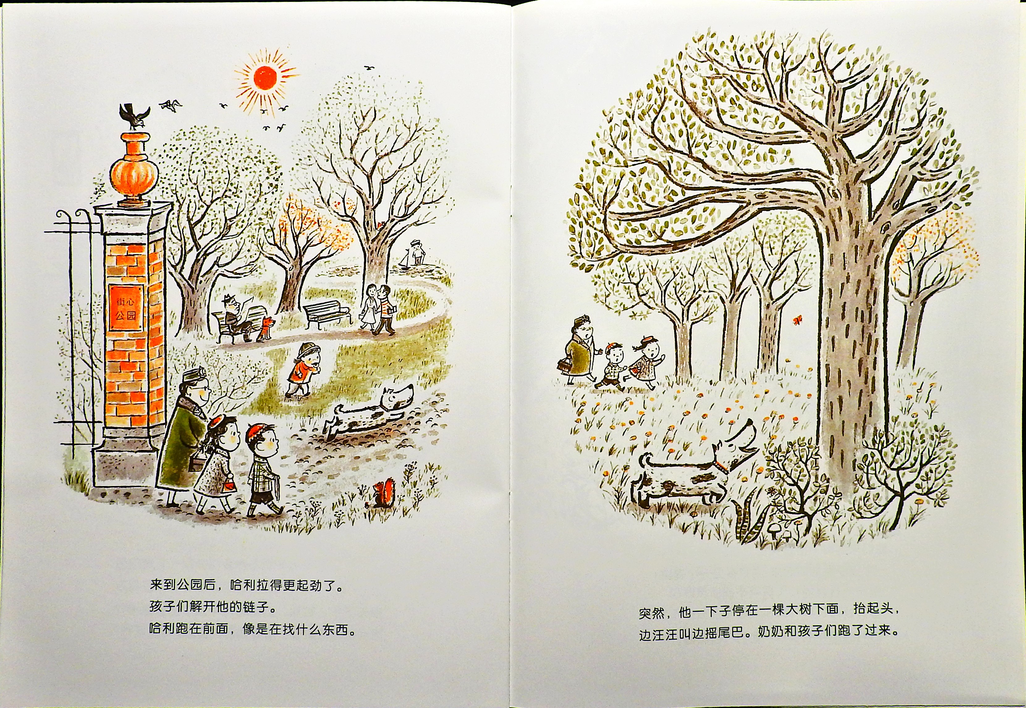哈利的花毛衣 (16),绘本,绘本故事,绘本阅读,故事书,童书,图画书,课外阅读